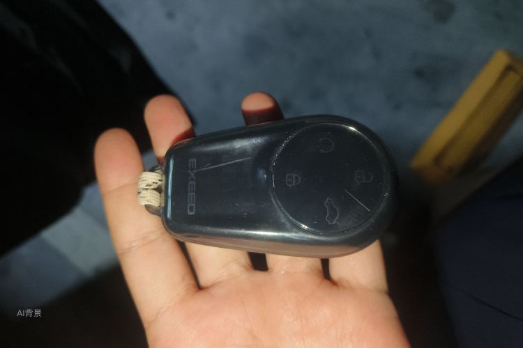 Exceed Lingyun 2023 image de voiture #10