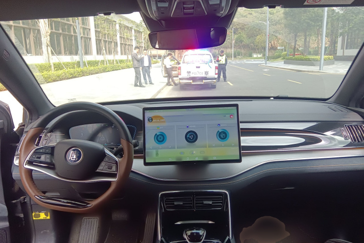 BYD Tang New Energy 2023 car image #10