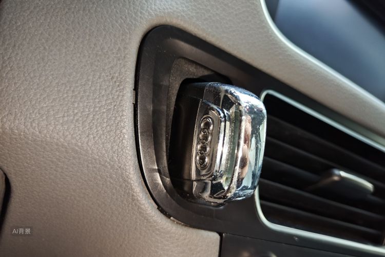 奥迪 奥迪Q5 2015 汽车图片 #10