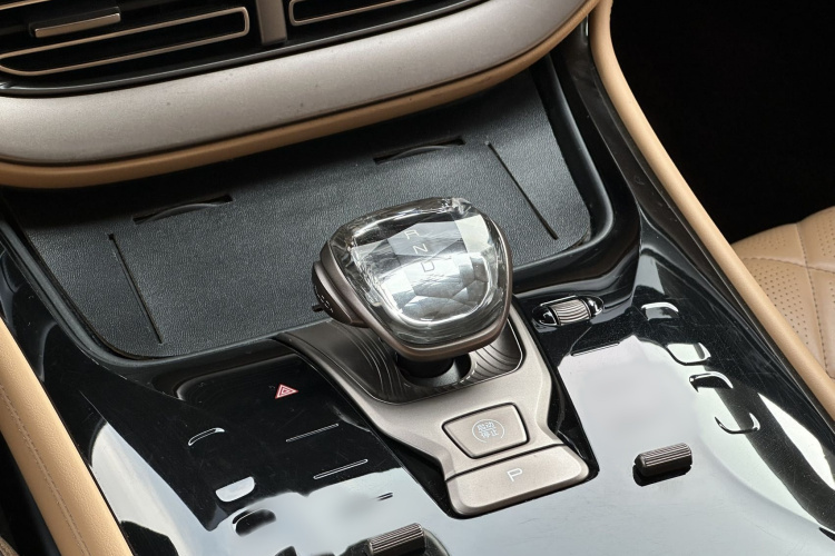 Denza D9 2023 imagem de carro #10