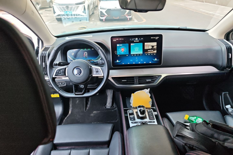 BYD Tang New Energy 2019 car image #10