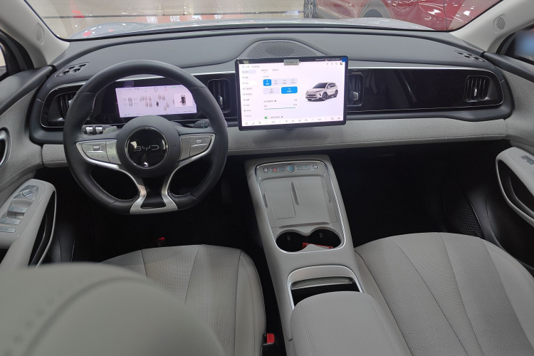 BYD Sea Lion 05 EV 2025 car image #10