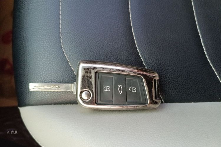 VS5 2024 #10 VS5 2024 car image #10