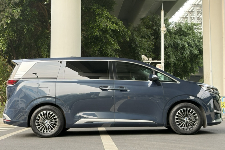 Denza D9 2023 imagen de coche #10