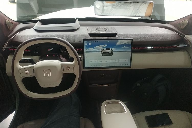 极氪 极氪X 2024 汽车图片 #10