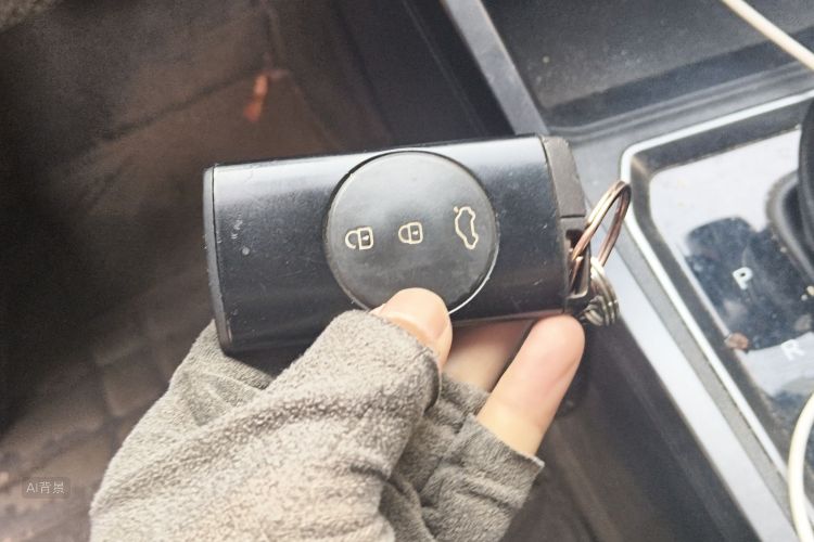 Tiggo 3x 2021 car image #10