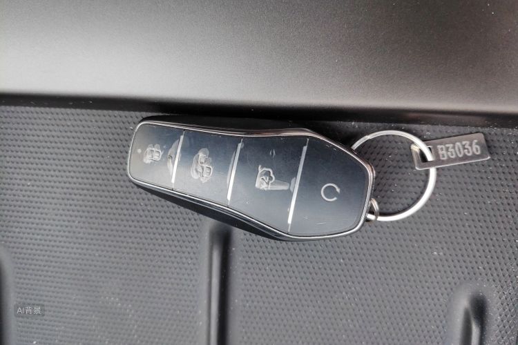 BYD Seal 06 DM-i 2025 immagine di auto #10