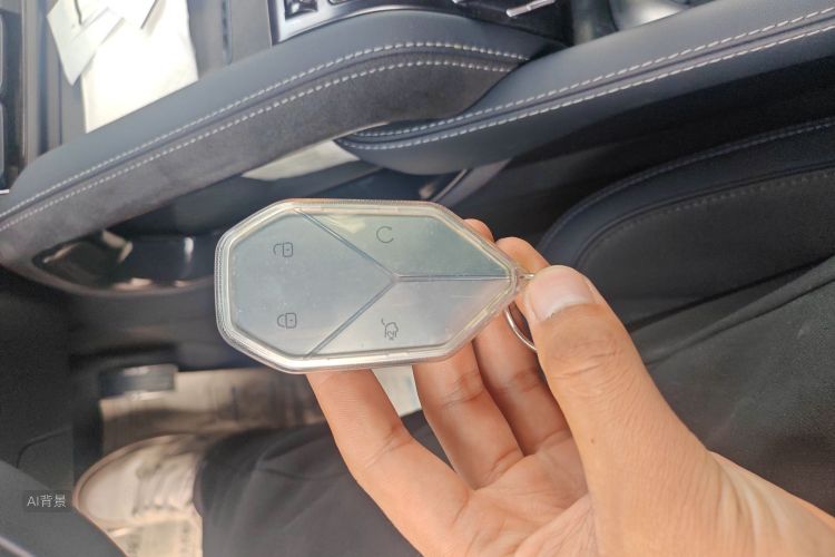 FangChengBao Leopard 5 2023 car image #10