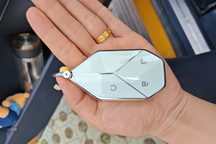 FangChengBao Leopard 5 2024 car image #10