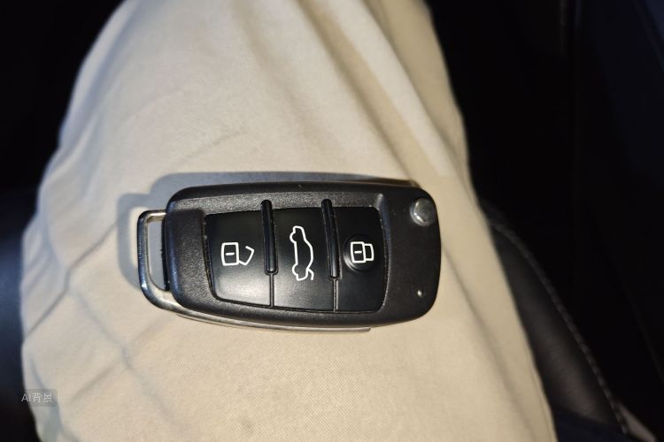 Q2L e-tron 2021 car image #10