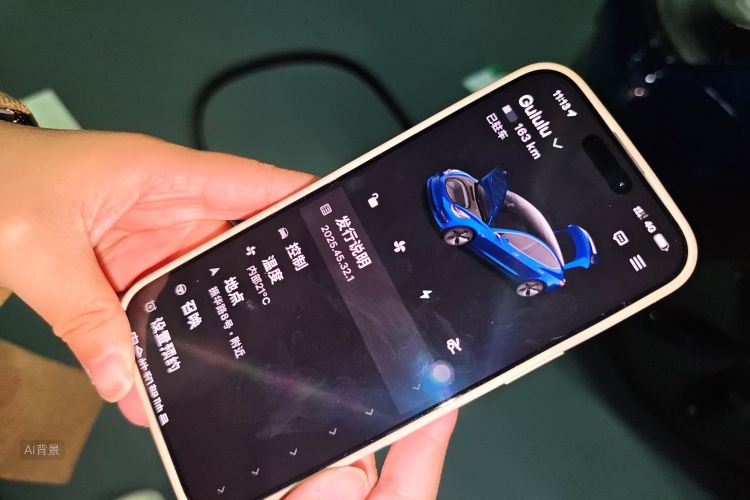 特斯拉 Model 3(进口) 2019 汽车图片 #10