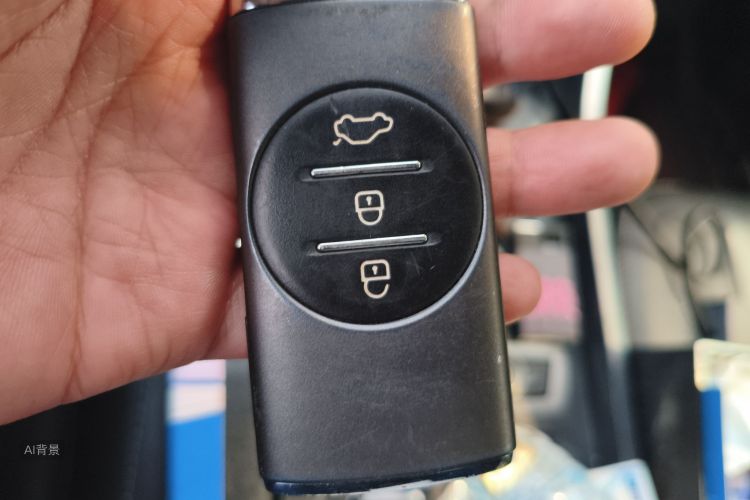 Tiggo 3x 2021 car image #10