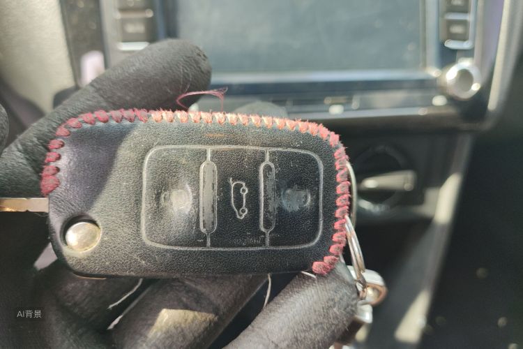 Polo 2016 immagine di auto #10
