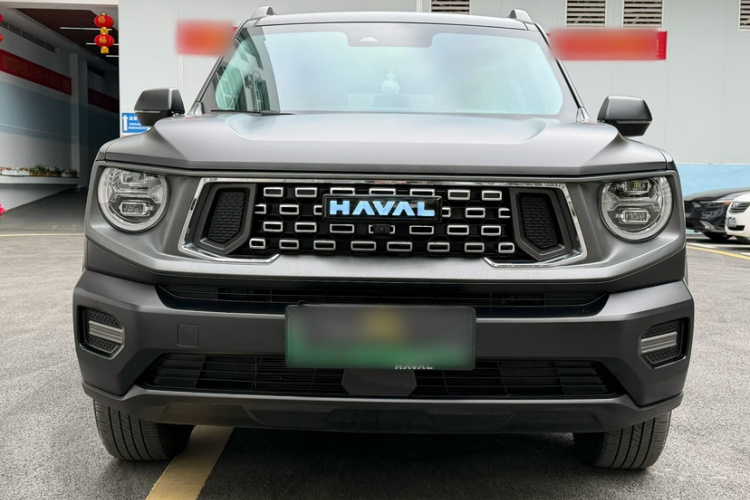 Haval X Dog 2 New Energy 2023 car image #10