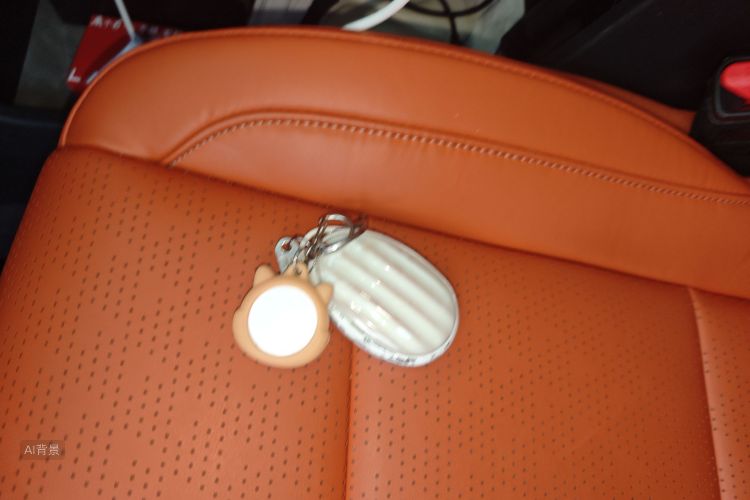 Toyota Bozhi 3X 2025 car image #10