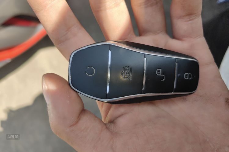 BYD Dolphin 2022 imagem de carro #10