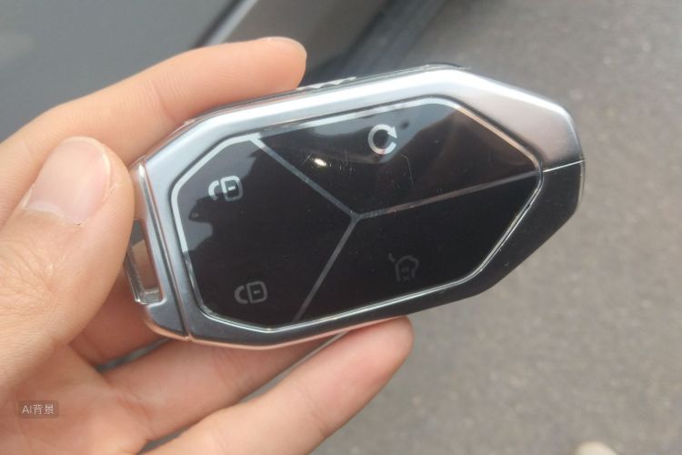 FangChengBao Leopard 8 2024 imagem de carro #10