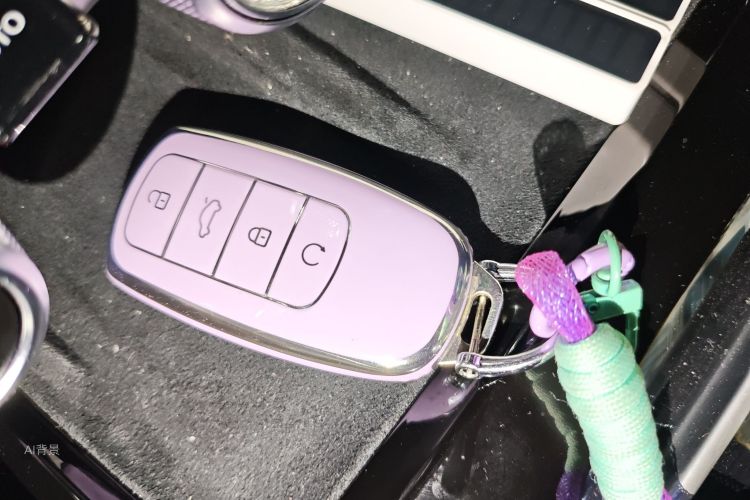 Exceed Yaoguang 2023 image de voiture #10