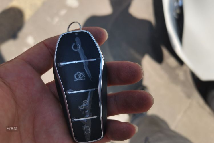 BYD Song Pro New Energy 2024 car image #10