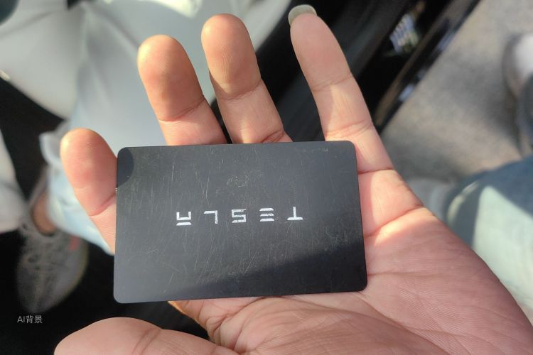 Tesla Model 3 2022 immagine di auto #10