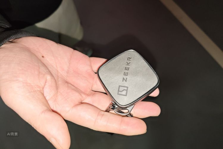 极氪 极氪001 2024 汽车图片 #10