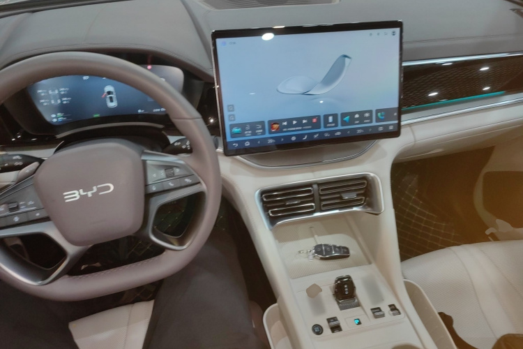 BYD Song Plus New Energy 2025 immagine di auto #10