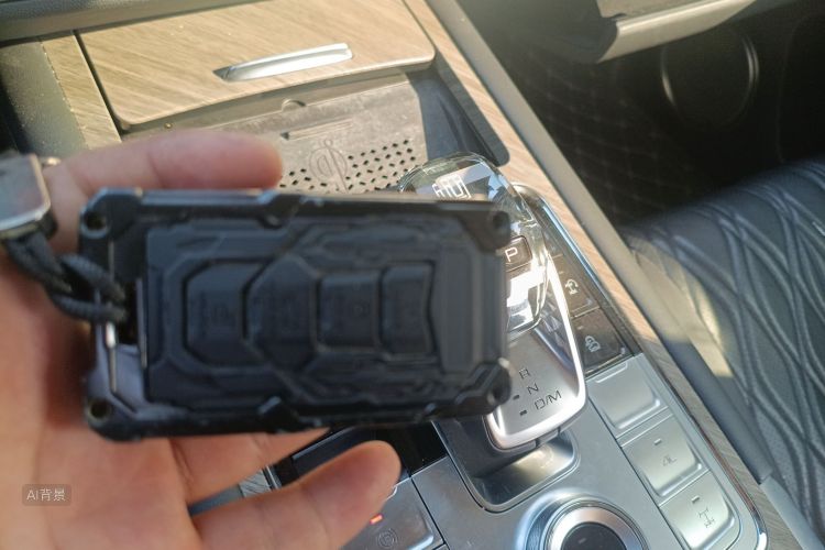 Tank 500 New Energy 2024 immagine di auto #10