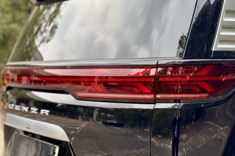 Denza D9 2025 изображение автомобиля #10