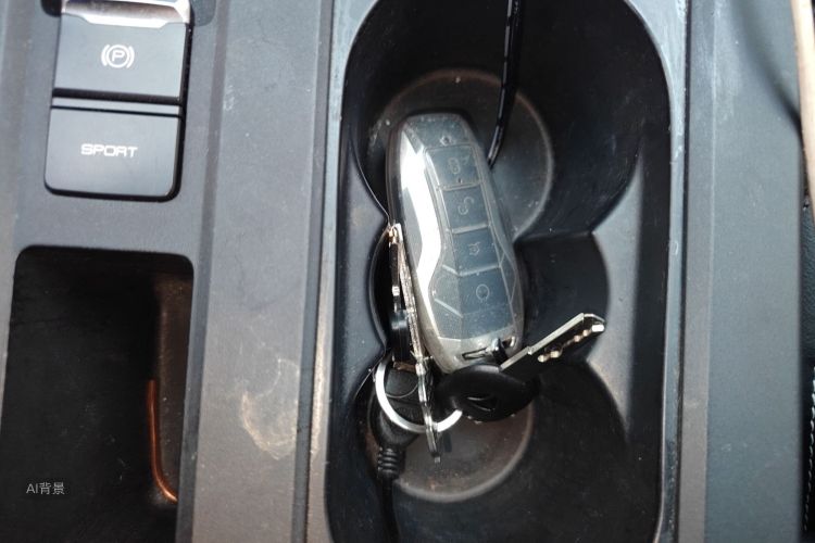 BYD Qin Pro 2019 imagen de coche #10