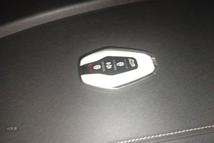 X70 PLUS 2022 car image #10