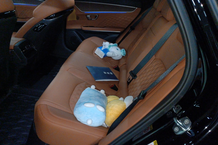 BYD Han 2022 car image #10