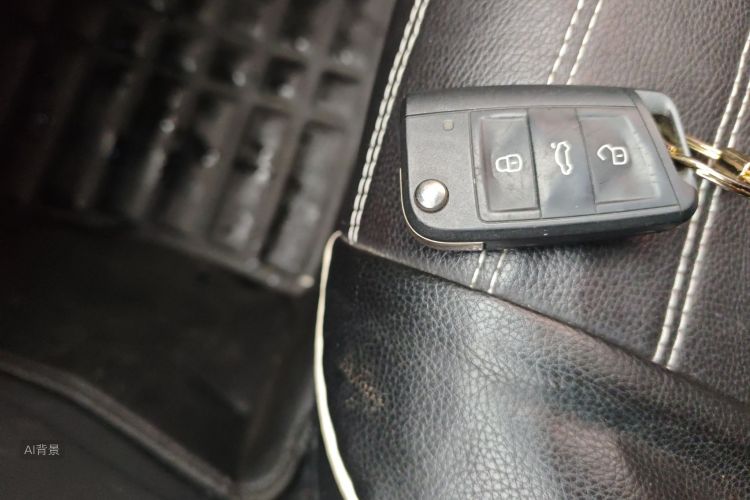 VS5 2019 car image #10