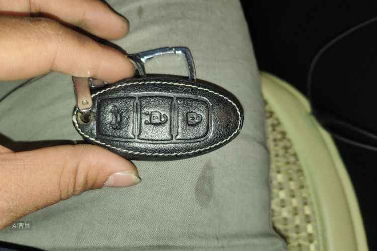 日产 轩逸 2020 汽车图片 #10