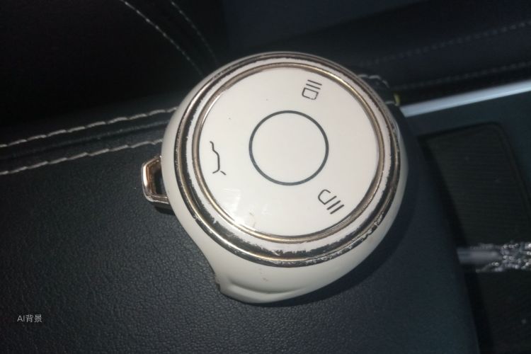 Neta V 2022 imagen de coche #10