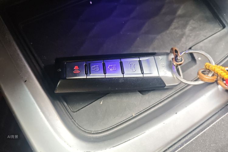 坦克 坦克300 2021 汽车图片 #10