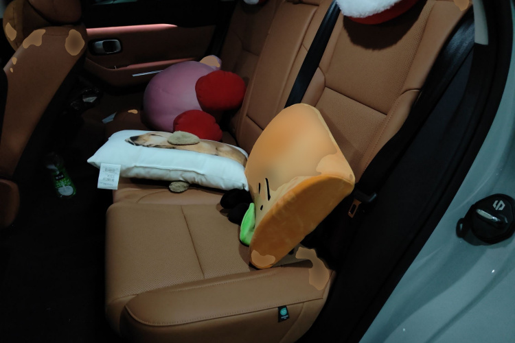 零跑汽车 零跑C10 2025 汽车图片 #10