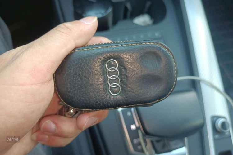 奥迪 奥迪A4L 2018 汽车图片 #10