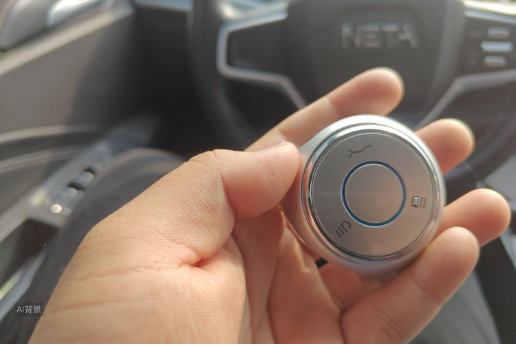 Neta V 2022 imagen de coche #10