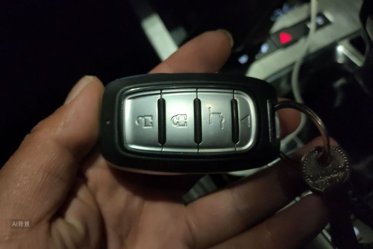 X70 PLUS 2022 car image #10