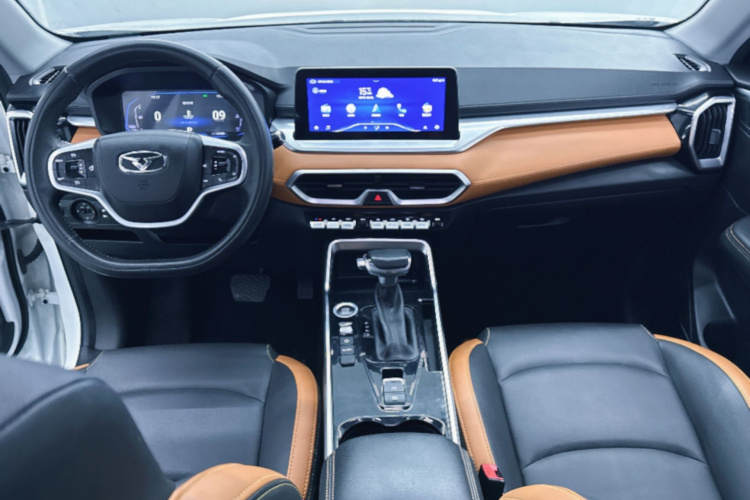 Showjet Pro 2021 car image #10