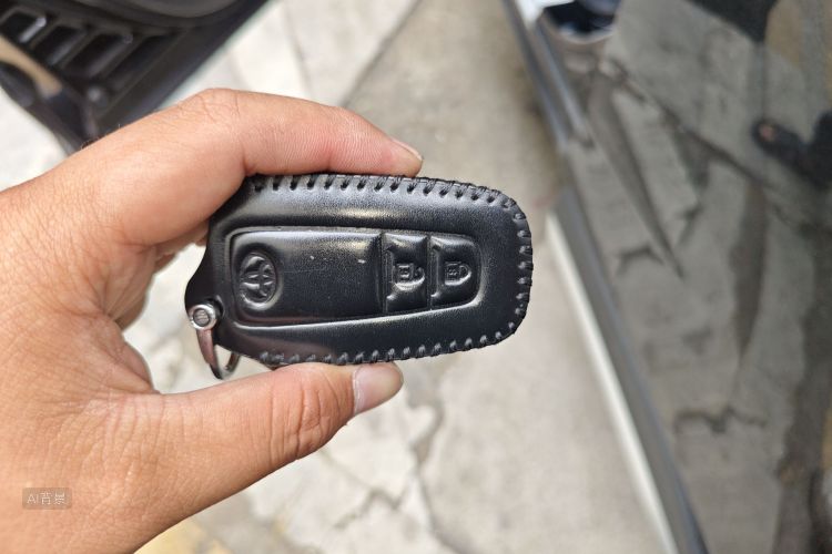 Toyota Wildlander 2023 car image #10