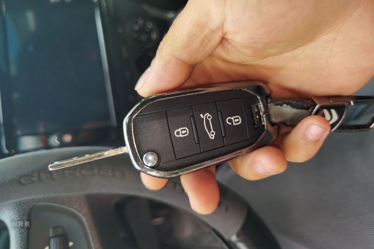 Citroen C3-XR 2023 immagine di auto #10