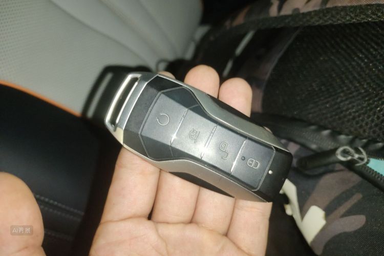 比亚迪 宋PLUS新能源 2022 汽车图片 #10