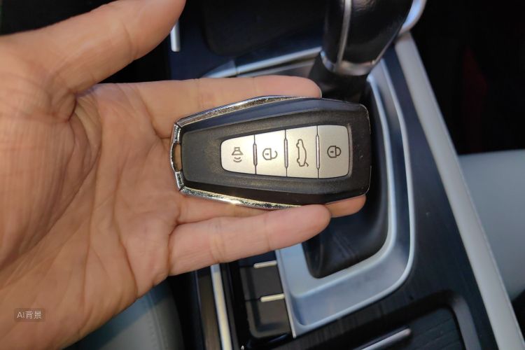GEELY Binray 2019 #10 GEELY Binray 2019 immagine di auto #10