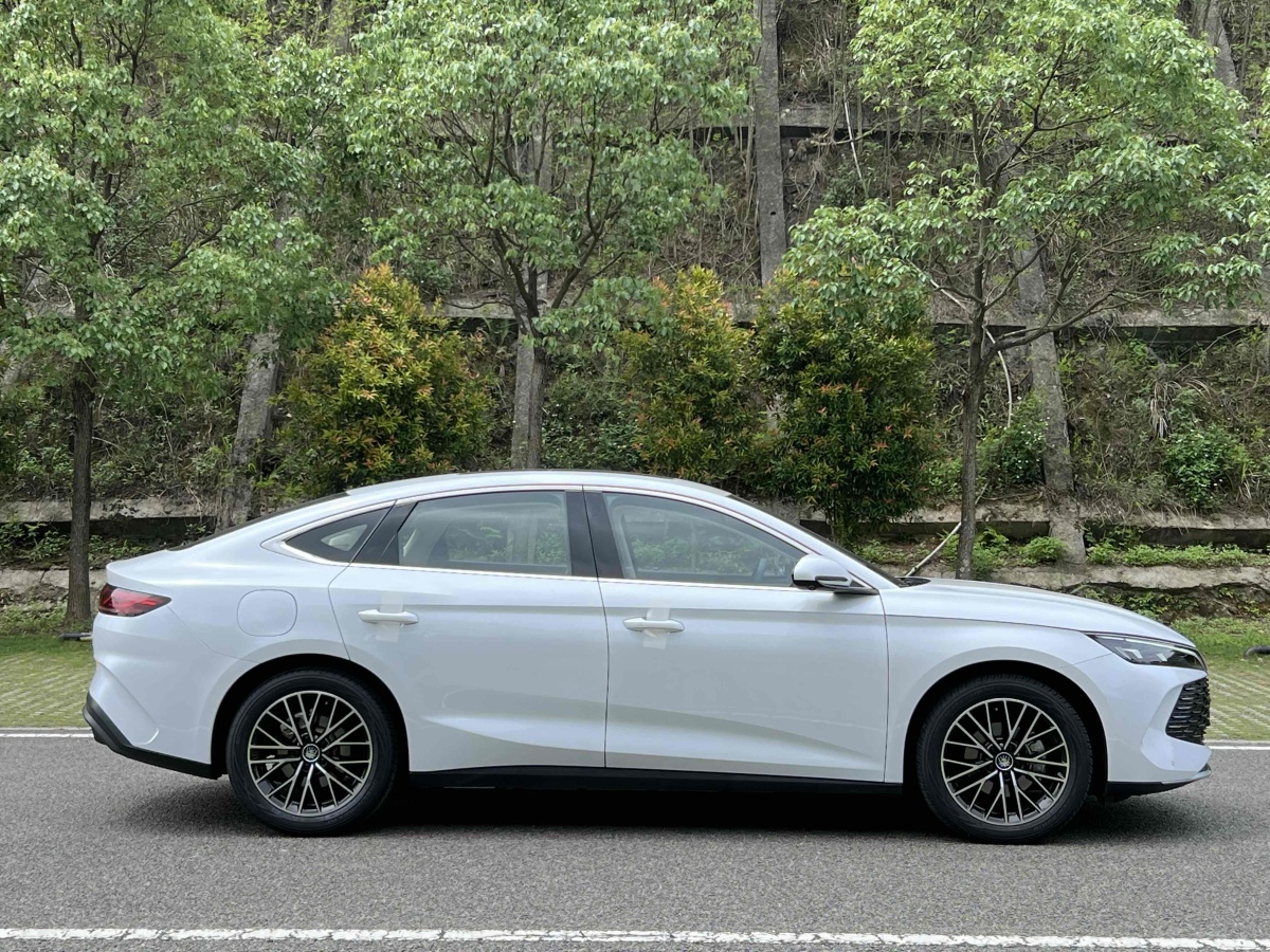 BYD Qin L 2024 car image #10