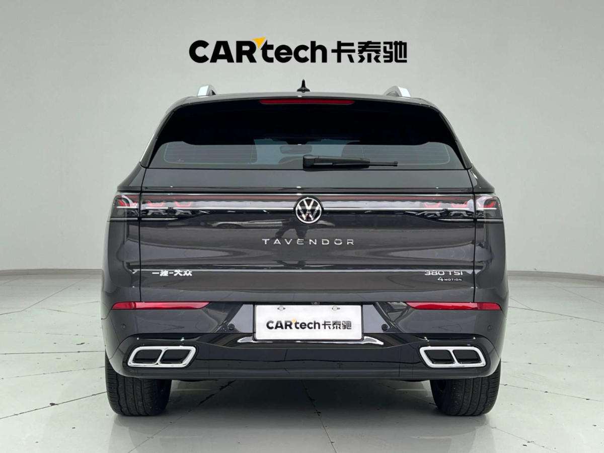 Volkswagen Tavendor 2023 car image #10