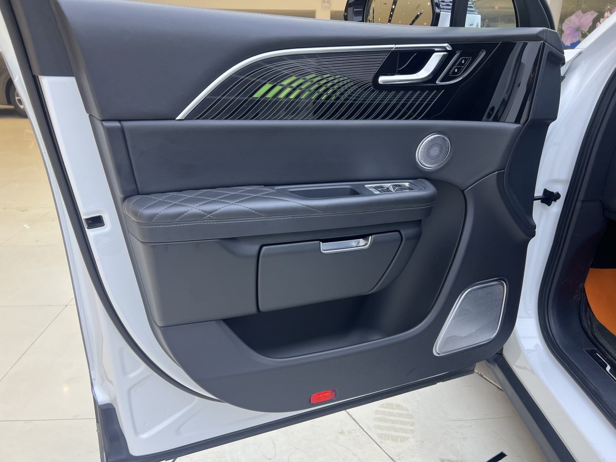 HongQi E-HS9 2022 car image #10