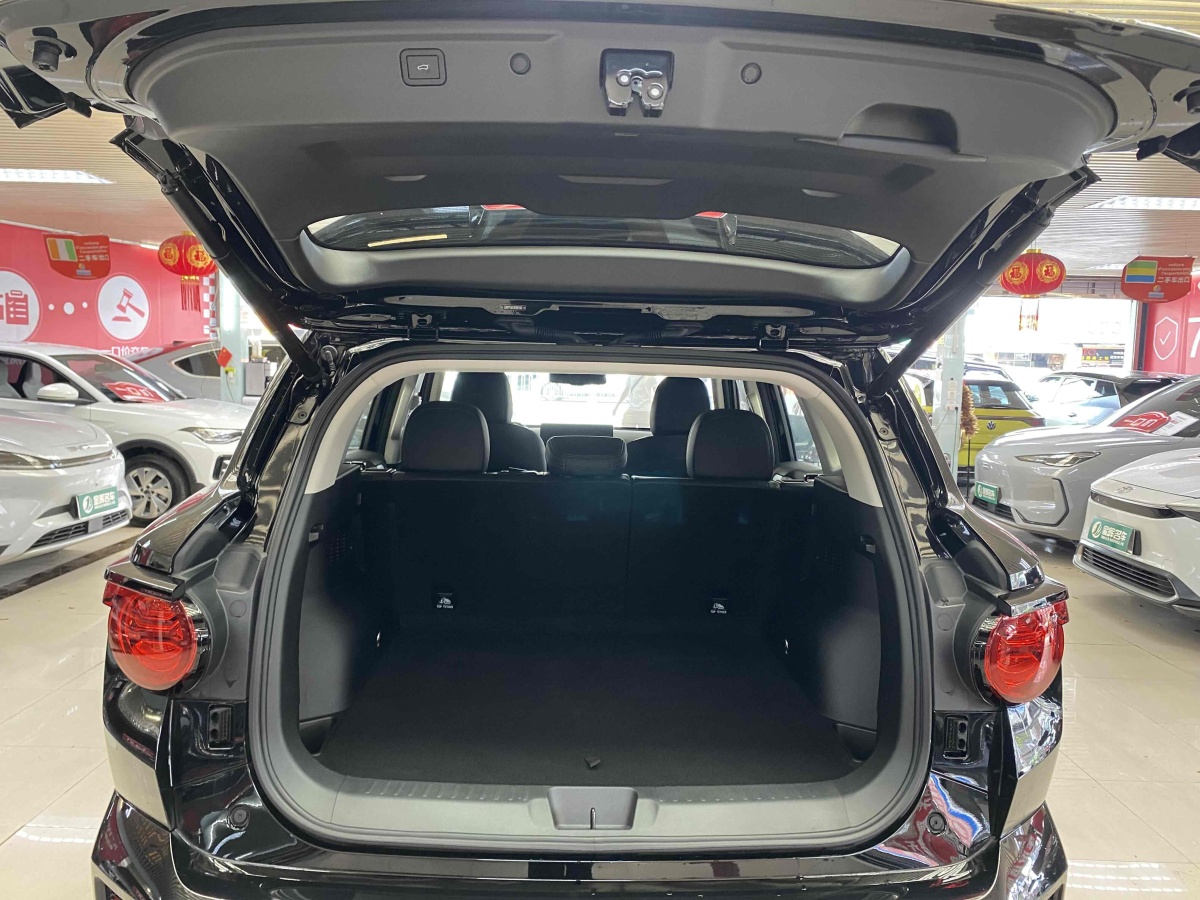 Haval X Dog 2 New Energy 2024 car image #10