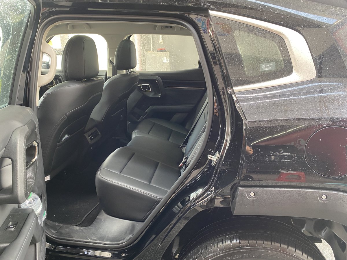 Haval X Dog 2 New Energy 2024 car image #10