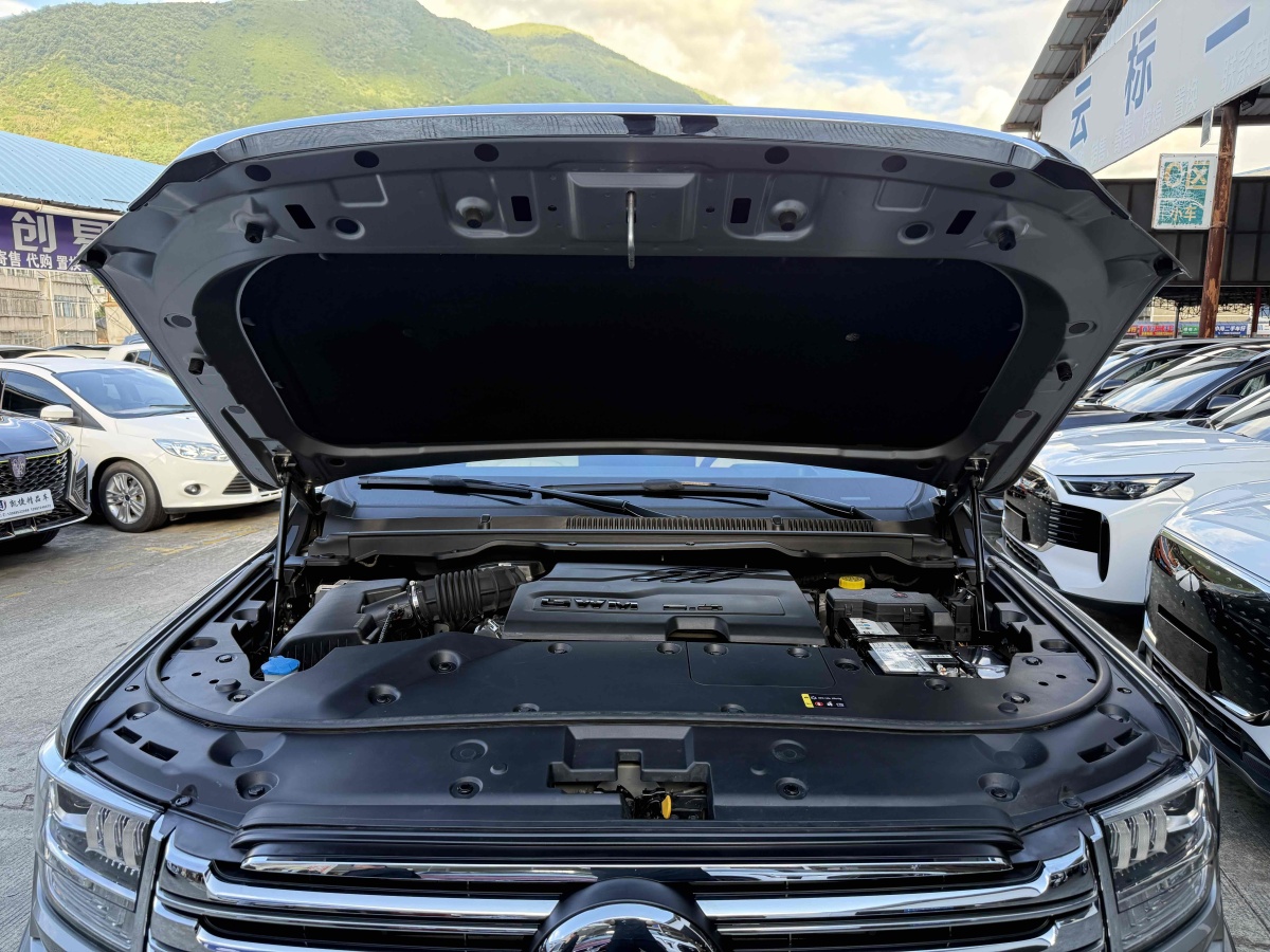 Great Wall Shanhai Pao 2023 car image #10